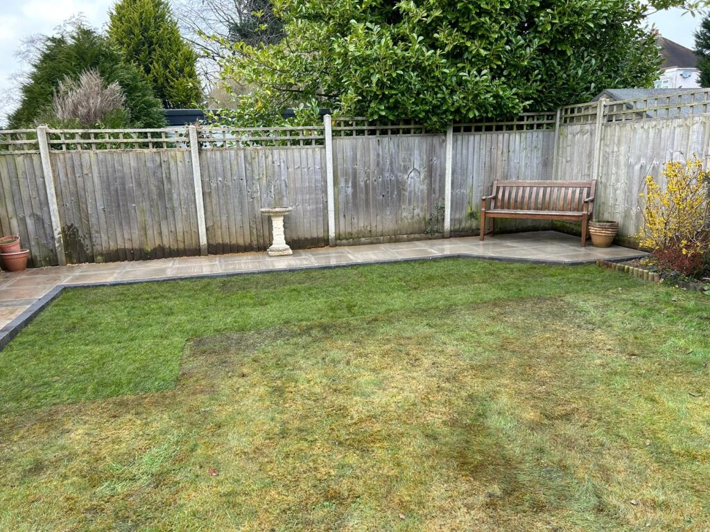 Garden tidy Up in Solihull