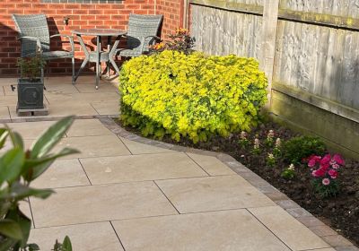 low-maintenance plants